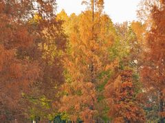 -环城公园-琥珀潭