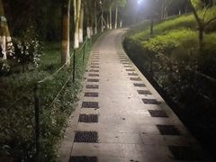 -龙头寺公园