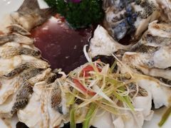 -博雅渔港·融合菜(维也纳国际大酒店)