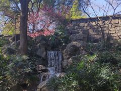 -杭州植物园