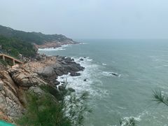-广东惠东海龟国家级自然保护区