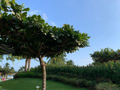 -三亚亚龙湾天域度假酒店