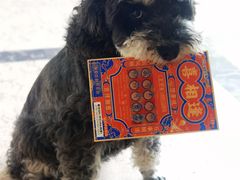 -陆家嘴世纪金融广场