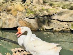 -兰亭风景区