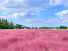 -嘉北郊野公园