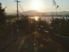 -北岐滩涂