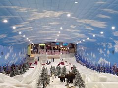 -世界之窗阿尔卑斯冰雪世界