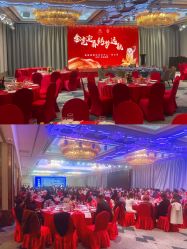 -曼格纳婚礼艺术中心(张江店)