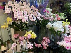 -鲍师傅糕点(永安里店)