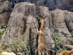 -陕西自然博物馆