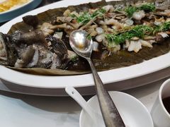 -翠府(翠湖北路店)