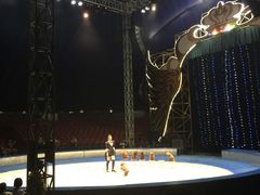 -福州罗源湾海洋世界旅游区