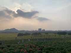 -光明小镇欢乐田园