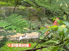 -广州市白云山风景名胜区