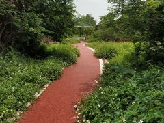 -鹤之洲湿地公园