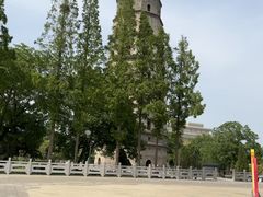 -兴隆文化园景区-兖州博物馆