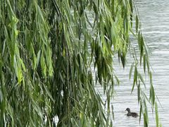 -浙江西子宾馆·瑶园咖啡厅