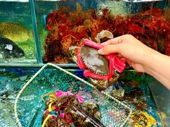 -牟记江湖重庆地标特色菜鱼蛋海鲜无刺鲫鱼(巴南区黑金冠十多年好店)