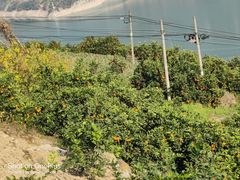 -白帝城·瞿塘峡景区