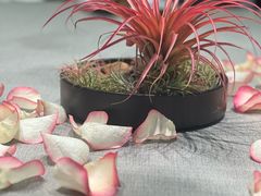 -虹御轩·传承江浙菜(虹桥店)