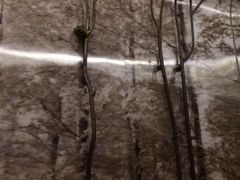 iphone_upload_pic-杭州逸酒店(西湖武林店)