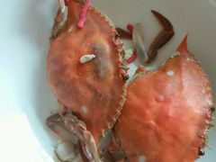 -春华海鲜城(广场西苑店)