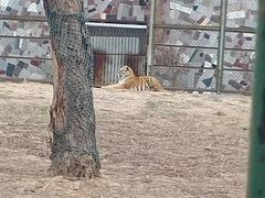 -宿豫区运河湾森林动物园