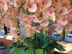 -八府香鸭·啫啫煲(华山路店)