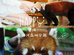 -普洱太阳河森林公园