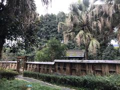 -周公山梦温泉