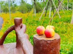 -永定河休闲森林公园