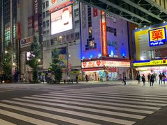 -秋叶原电器街