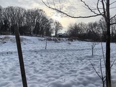 -少林寺欢喜地素斋馆