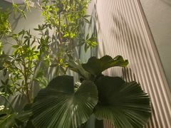 -芸山季·云南山珍菌火锅(南翔印象城MEGA店)