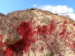 iphone_upload_pic-百里山水画廊乌龙峡谷