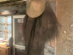 -丹江渔村(首都机场店)