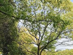 -广富林郊野公园