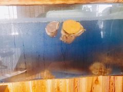 -鱼亭料理(芝罘店)