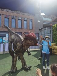 -恐龙探索乐园(磁器口店)