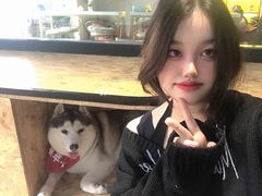 -Husky Go! 哈士奇体验馆·宠物咖啡厅狗咖