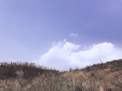 -南丫岛