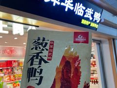 -郴州特产舜华临武鸭(郴州西站店)