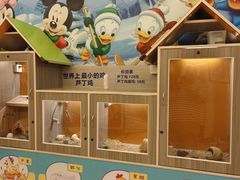 -同里湖度假村(二期店)
