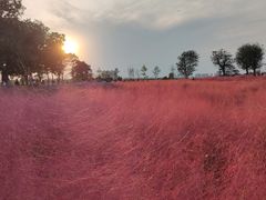 -汉长安城未央宫国家考古遗址公园