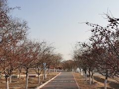 -永定河休闲森林公园