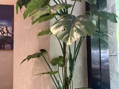 -浙C老邻舍(西城海错店)