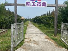 -上海长兴岛郊野公园