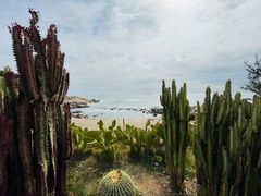 -广东惠东海龟国家级自然保护区