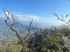 -青城山