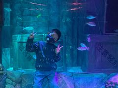 -沈阳海洋探索中心